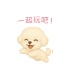 マルチーズ【繁體字】（個別スタンプ：2）