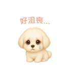 マルチーズ【繁體字】（個別スタンプ：7）