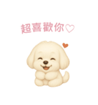 マルチーズ【繁體字】（個別スタンプ：8）