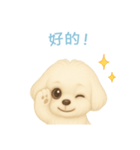 マルチーズ【繁體字】（個別スタンプ：9）