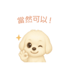 マルチーズ【繁體字】（個別スタンプ：10）