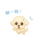 マルチーズ【繁體字】（個別スタンプ：12）