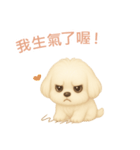 マルチーズ【繁體字】（個別スタンプ：13）