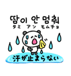暑い夏！韓国語と日本語（個別スタンプ：11）