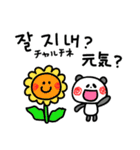 暑い夏！韓国語と日本語（個別スタンプ：17）