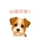 ワイアーフォックステリア【繁體字】（個別スタンプ：1）