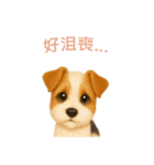 ワイアーフォックステリア【繁體字】（個別スタンプ：7）