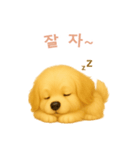 ゴールデンレトリーバー【韓国語】（個別スタンプ：4）