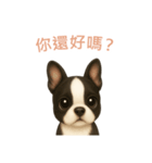 ボストンテリア【繁體字】（個別スタンプ：1）