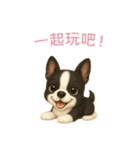 ボストンテリア【繁體字】（個別スタンプ：2）