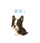 ボストンテリア【繁體字】（個別スタンプ：3）