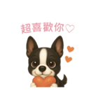 ボストンテリア【繁體字】（個別スタンプ：8）