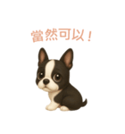 ボストンテリア【繁體字】（個別スタンプ：10）
