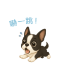 ボストンテリア【繁體字】（個別スタンプ：12）