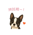 ボストンテリア【繁體字】（個別スタンプ：14）