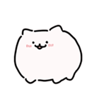 ふわころポメラニアン（個別スタンプ：1）