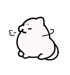 ふわころポメラニアン（個別スタンプ：12）