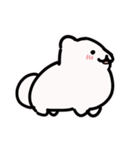 ふわころポメラニアン（個別スタンプ：14）