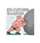 ムキムキウサギもっと！（個別スタンプ：1）