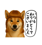 ほぼ敬語ですの柴犬1（個別スタンプ：6）