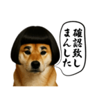 ほぼ敬語ですの柴犬1（個別スタンプ：18）