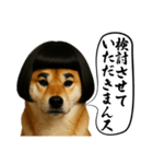 ほぼ敬語ですの柴犬1（個別スタンプ：21）