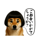 ほぼ敬語ですの柴犬1（個別スタンプ：23）