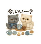 ふわふわエキゾチックショートヘアの冬S（個別スタンプ：5）