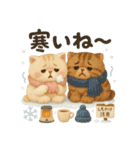 ふわふわエキゾチックショートヘアの冬S（個別スタンプ：16）