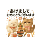 ふわふわエキゾチックショートヘアの冬S（個別スタンプ：20）