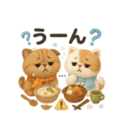 ふわふわエキゾチックショートヘアの冬S（個別スタンプ：34）
