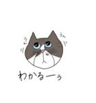 くわとろきゃっつ3（個別スタンプ：1）