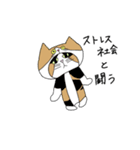 くわとろきゃっつ3（個別スタンプ：13）