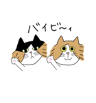 くわとろきゃっつ3（個別スタンプ：14）