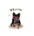 チルくん☆スタンダード（個別スタンプ：7）