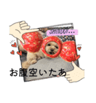 はくたちのスタンプ（個別スタンプ：2）
