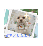 はくたちのスタンプ（個別スタンプ：3）