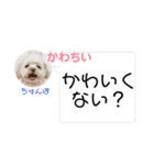 はくたちのスタンプ（個別スタンプ：9）