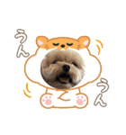 はくたちのスタンプ（個別スタンプ：10）