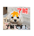 はくたちのスタンプ（個別スタンプ：14）