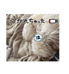 はくたちのスタンプ（個別スタンプ：16）