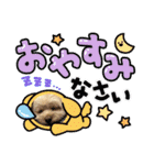 はくたちのスタンプ（個別スタンプ：19）