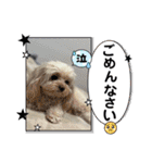 はくたちのスタンプ（個別スタンプ：20）