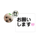 はくたちのスタンプ（個別スタンプ：21）