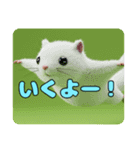 モモンガもふもふスタンプ（個別スタンプ：3）