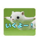 モモンガとみなみちゃんプレミアムセット（個別スタンプ：9）