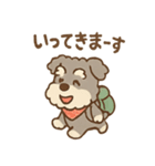 てくてくシュナ のんびり日常スタンプ（個別スタンプ：1）
