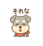 てくてくシュナ のんびり日常スタンプ（個別スタンプ：3）