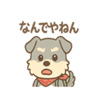 てくてくシュナ のんびり日常スタンプ（個別スタンプ：5）
