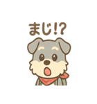 てくてくシュナ のんびり日常スタンプ（個別スタンプ：8）